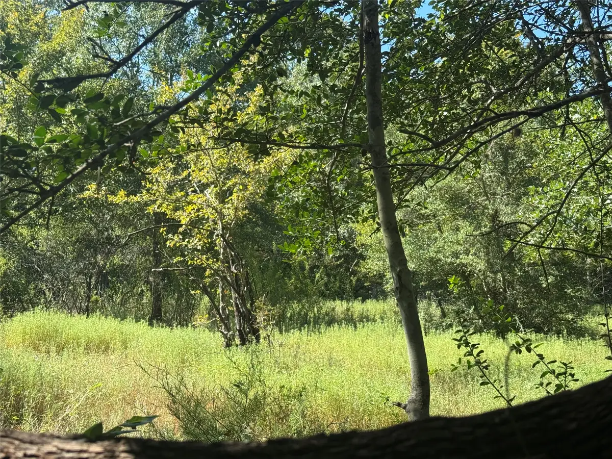 16547 Highway 105, Washington, TX 77880 - #1