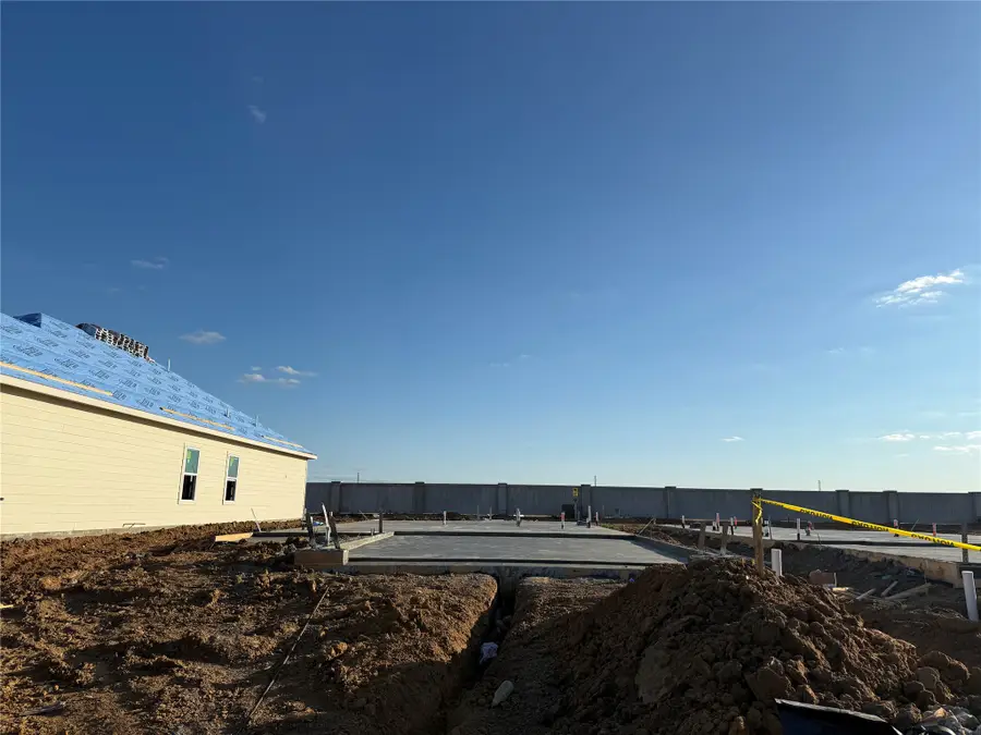 29131 Dandelion Sky Drive, Waller, TX 77484 - #2