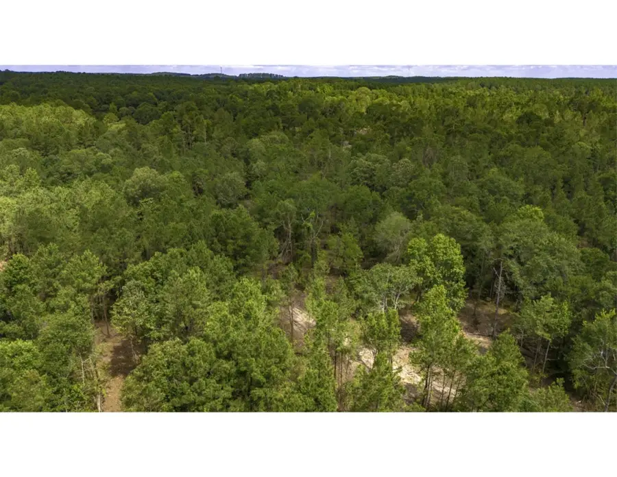 TBD Lot 003 Holland Road, Moscow, TX 75960 - #3