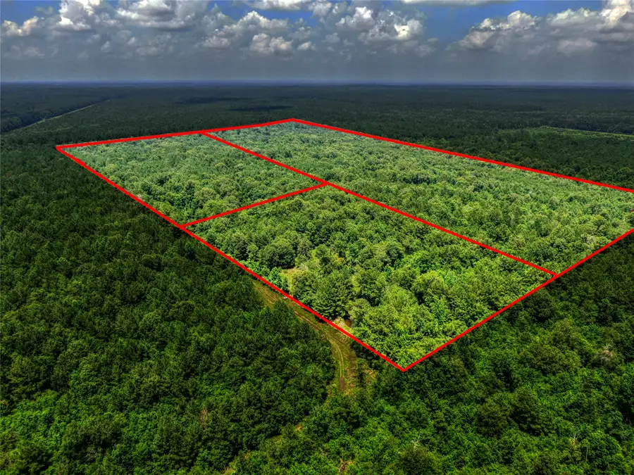 0 Pelican Road, Shepherd, TX 77371 - #2