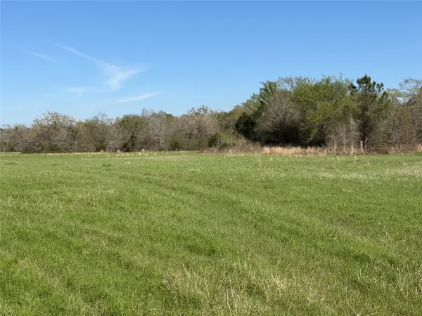 ACRES 17.376 County Road 242, Richards, TX 77873