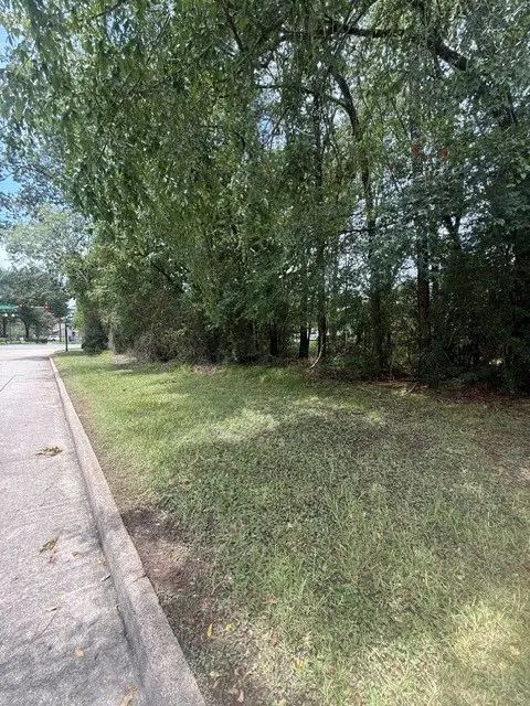12902 Walden Road, Montgomery, TX 77356