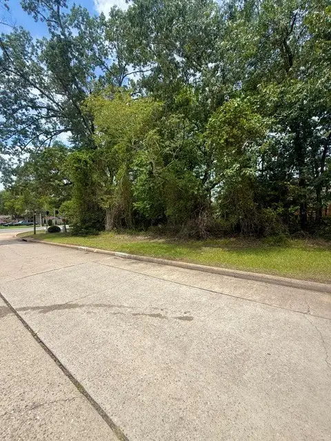 12902 Walden Road, Montgomery, TX 77356 - #2