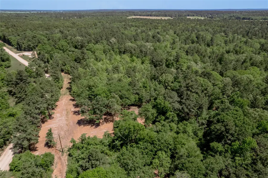 6077 Cr 4200, Pennington, TX 75856 - Image #3