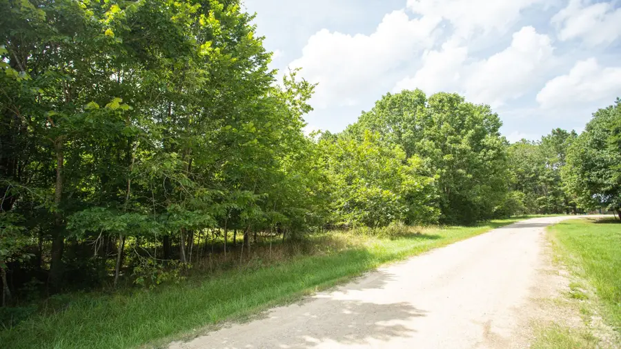 384 Hideaway Drive, Trinity, TX 75862 - #2