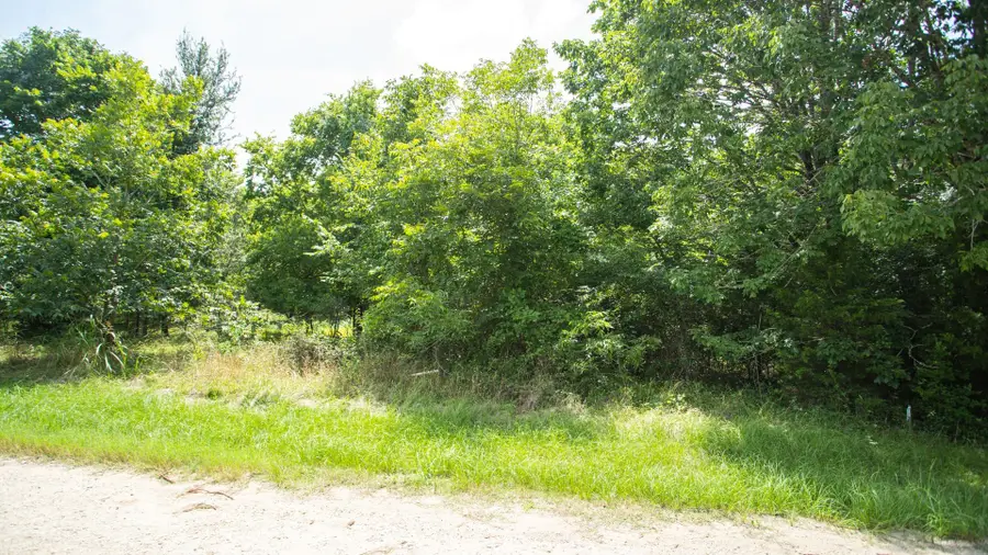 384 Hideaway Drive, Trinity, TX 75862 - #3