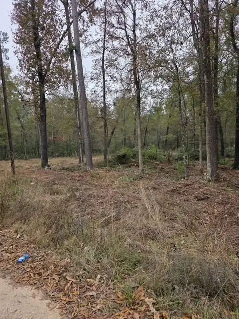 222 Wendy Way, Livingston, TX 77351 - #2