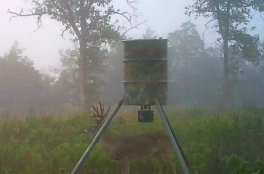 3747 Sparta Field Road, Waelder, TX 78959 - Image #2