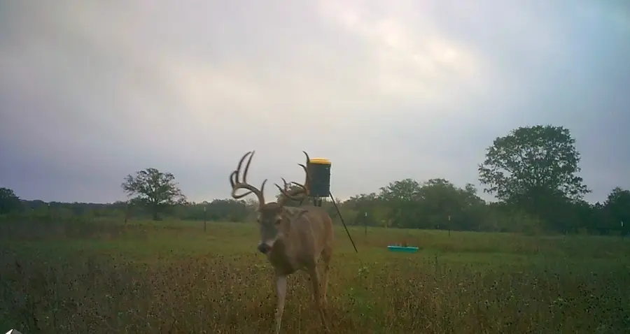 3747 Sparta Field Road, Waelder, TX 78959 - Image #3