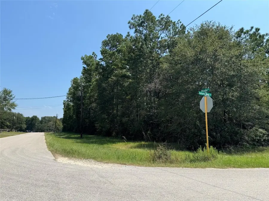 0 Autumn Bend Dr, Conroe, TX 77303 - #2