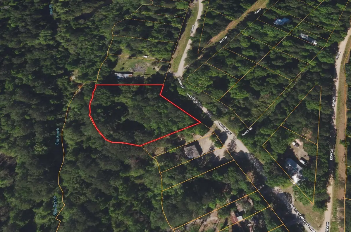 0 Big Foot Wallace Trail, Livingston, TX 77351 - #1