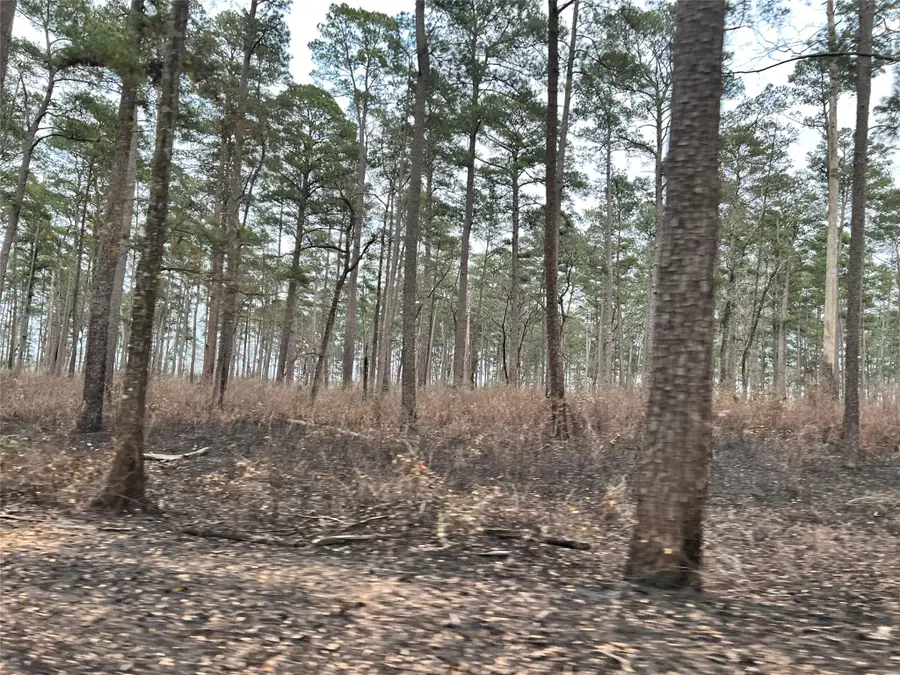 TBD Milton Whatley Rd, Montgomery, TX 77356 - Image #3