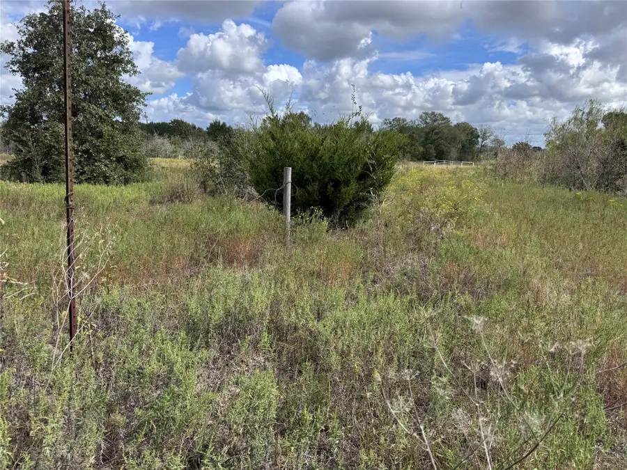 4852 County Road 227, Bedias, TX 77831 - #2