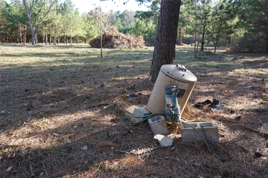 1087 County Road 318, San Augustine, TX 75972 - #3