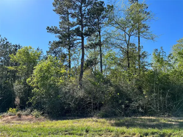 335 Exploration Road, New Waverly, TX 77358