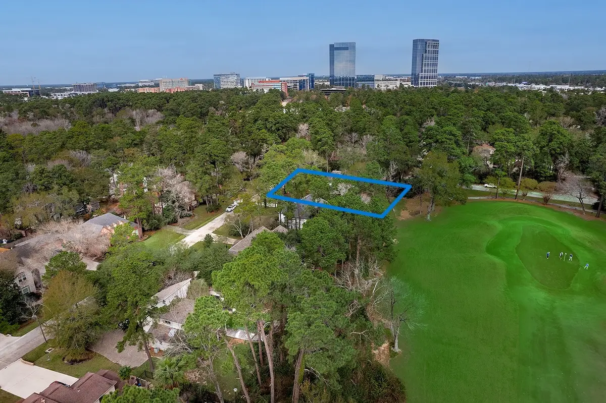 2 Box Turtle Lane, The Woodlands, TX 77380 - #1