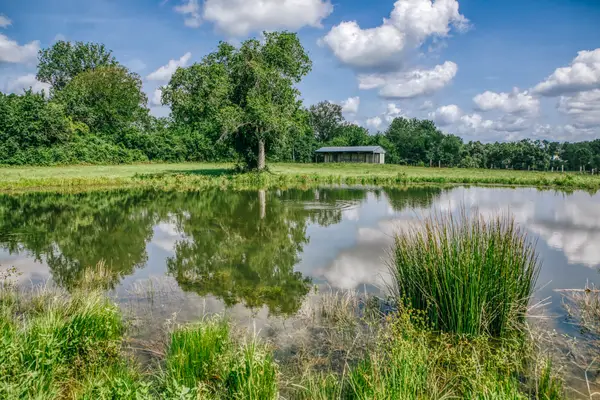 0000 Mock Lane, Montgomery, TX 77484