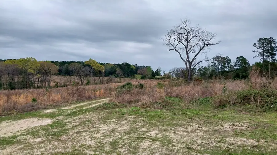 0 Fm 1857, Rusk, TX 75785 - #2