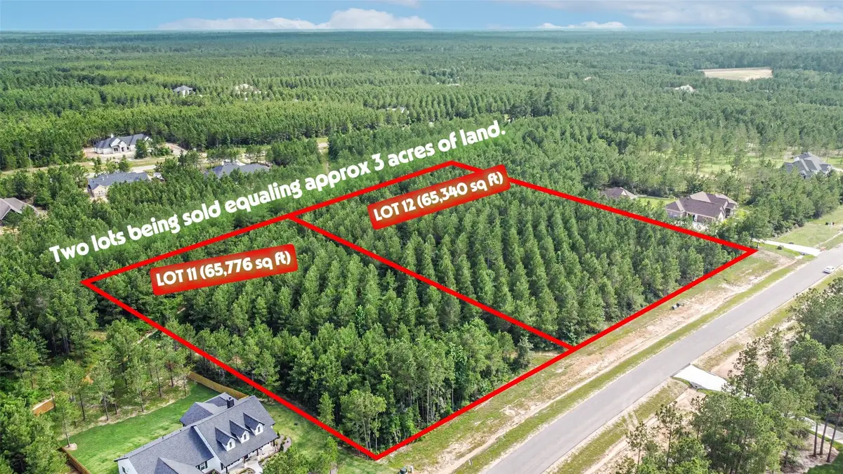 15917 Ridge Oak Road, Willis, TX 77378 - Image #1