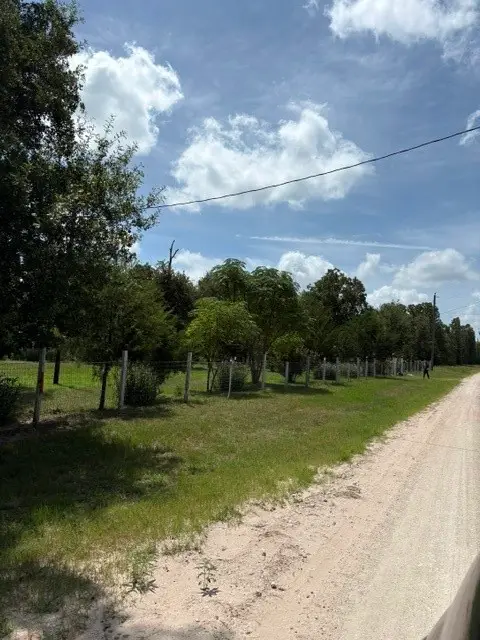 25660 Cemetery Road, Bedias, TX 77831 - #2