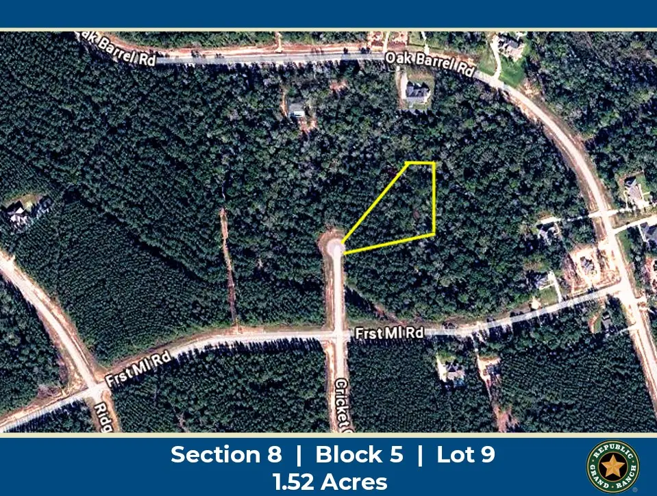 15660 Cricket Creek Court, Willis, TX 77378 - #1