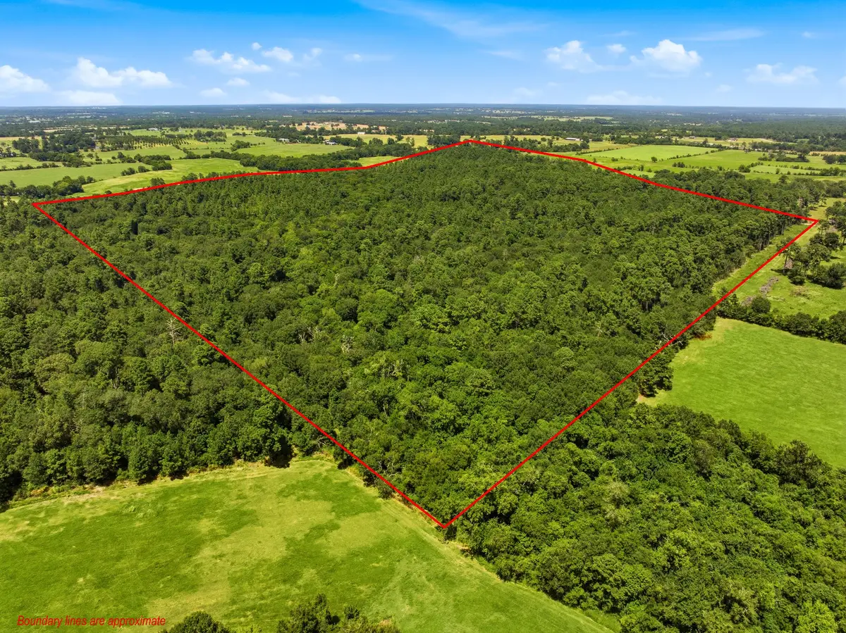 118.25 Acres Cr 278c, Anderson, TX 77830 - #1