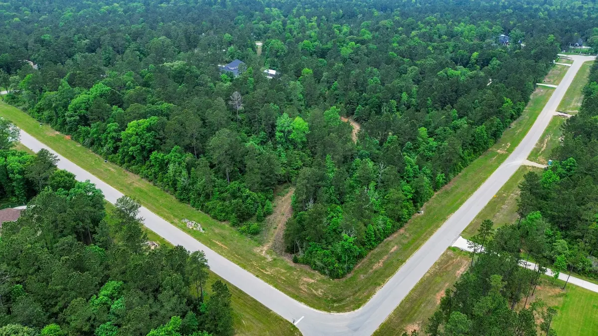 10517 Single Shot Lane, Willis, TX 77378 - #1