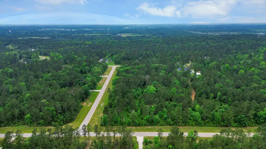 10517 Single Shot Lane, Willis, TX 77378 - #3