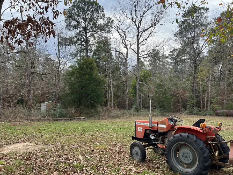 1450 Timber Road 7, Woodville, TX 75979 - Image #3