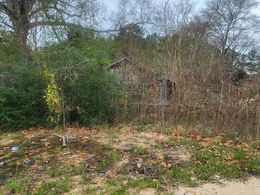 170 S Railroad Avenue, Shepherd, TX 77371 - #2