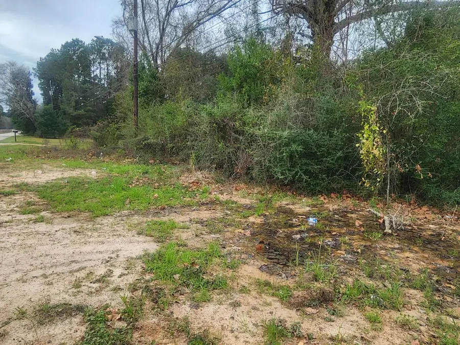 170 S Railroad Avenue, Shepherd, TX 77371 - #3