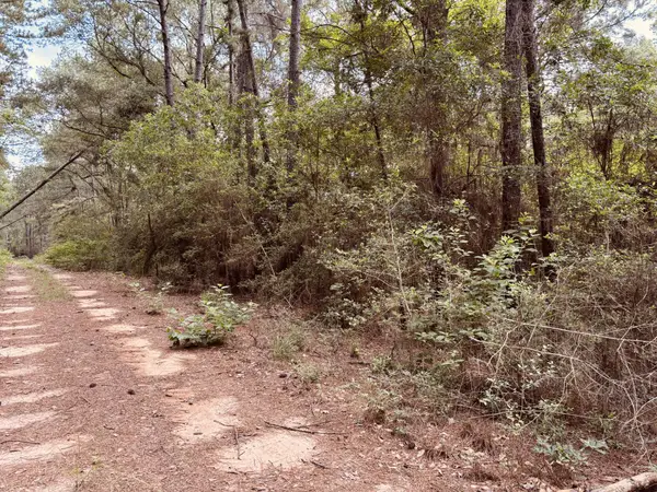 16646 E Sioux Drive, Hempstead, TX 77445