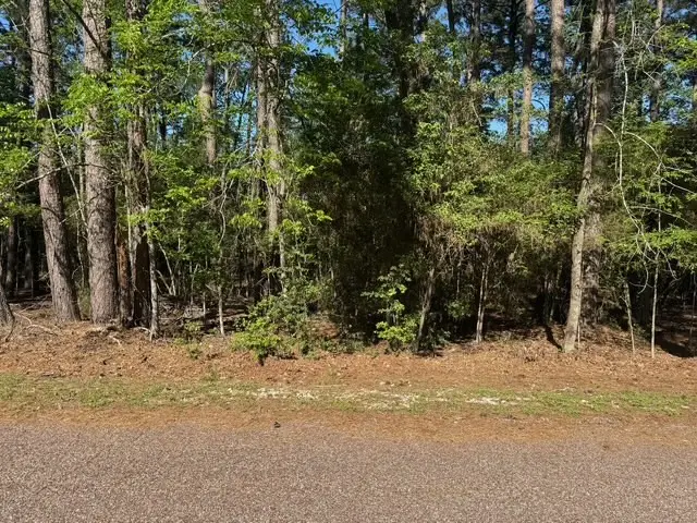 132 S Royale Greens Drive, Coldspring, TX 77331 - #1