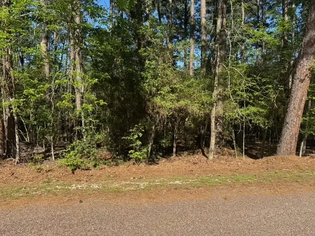 132 S Royale Greens Drive, Coldspring, TX 77331 - #2