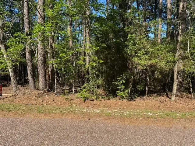 132 S Royale Greens Drive, Coldspring, TX 77331 - #3