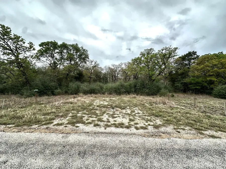 Lot 3 at County Road 312, Thrall, TX 76578 - #3