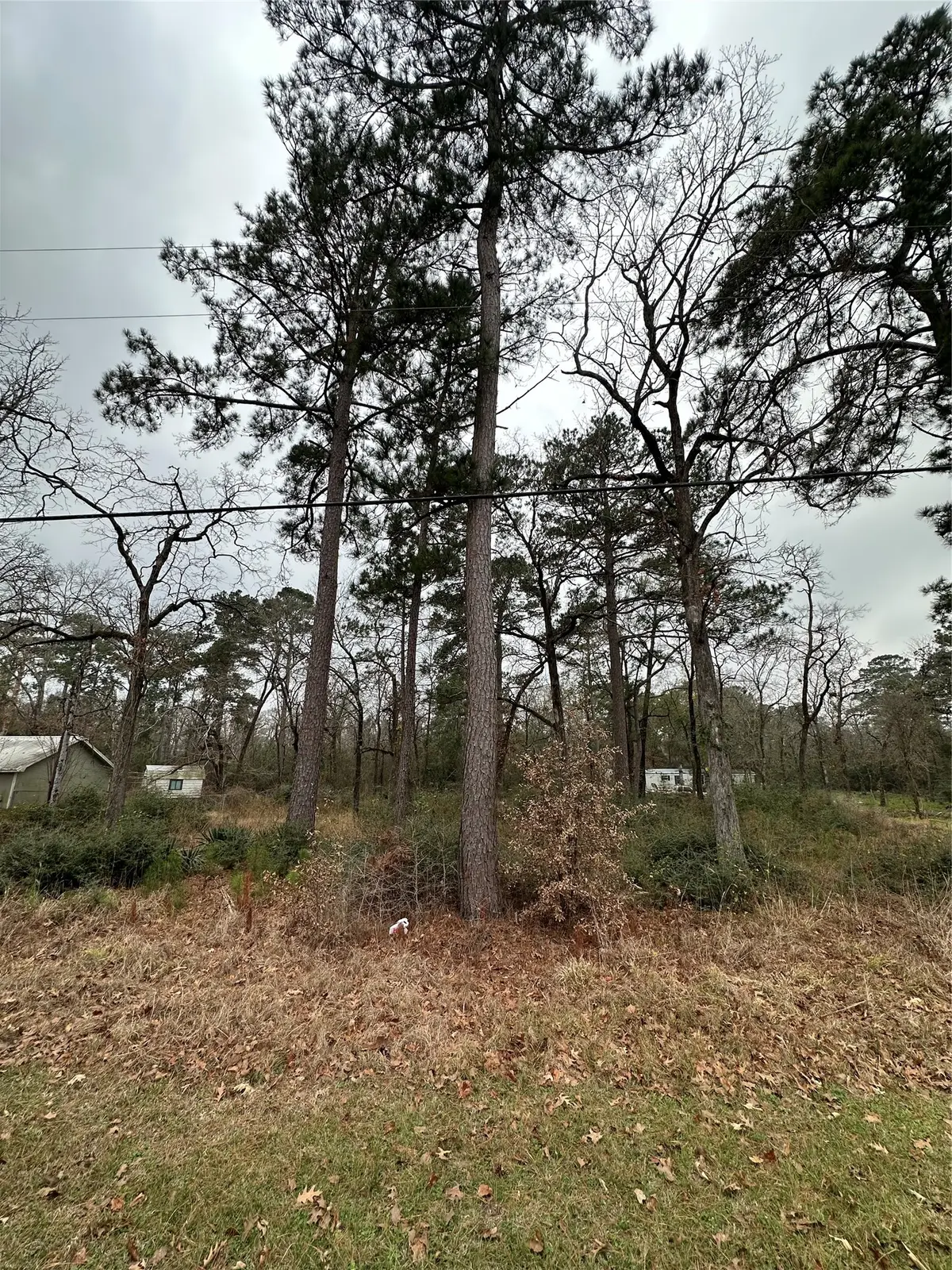 TBD Mary Drive, Huntsville, TX 77320 - #1