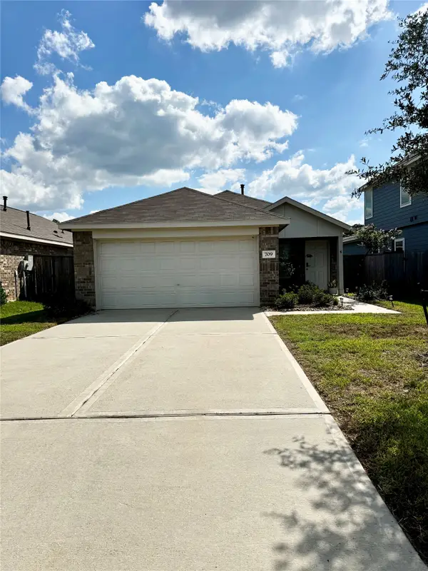 709 Roaring Falls Drive, Willis, TX 77378