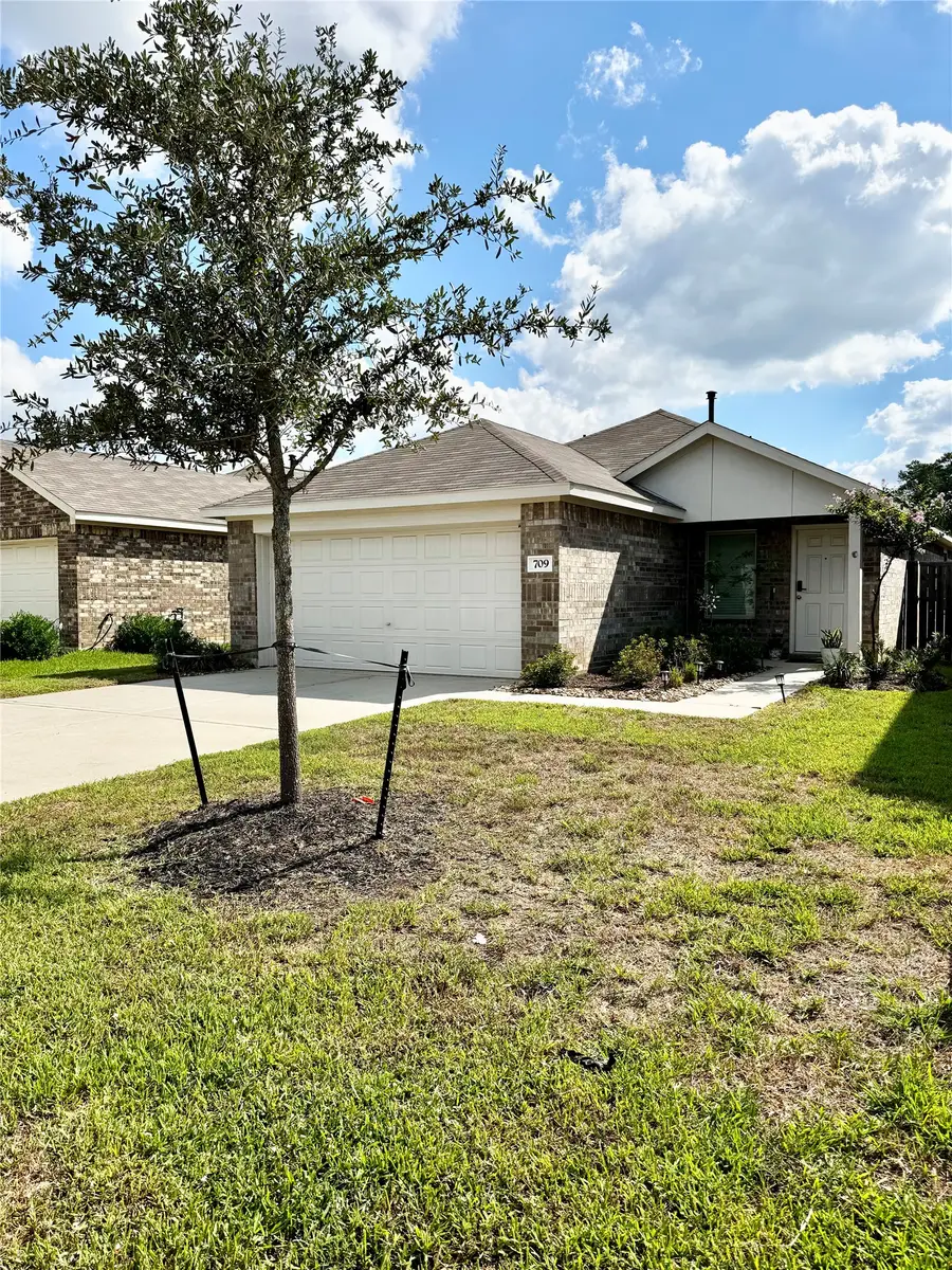 709 Roaring Falls Drive, Willis, TX 77378 - #3
