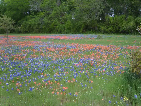 800 Archie Lane, Belton, TX 76513