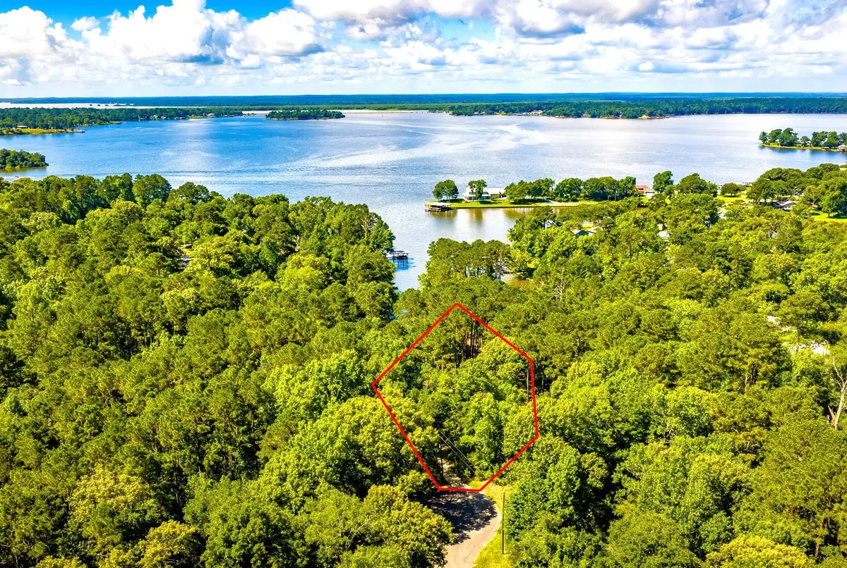 TBD Pine Circle, Trinity, TX 75862 - #1