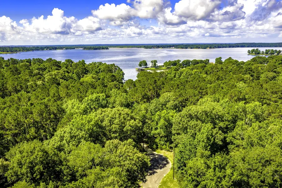 TBD Pine Circle, Trinity, TX 75862 - #2
