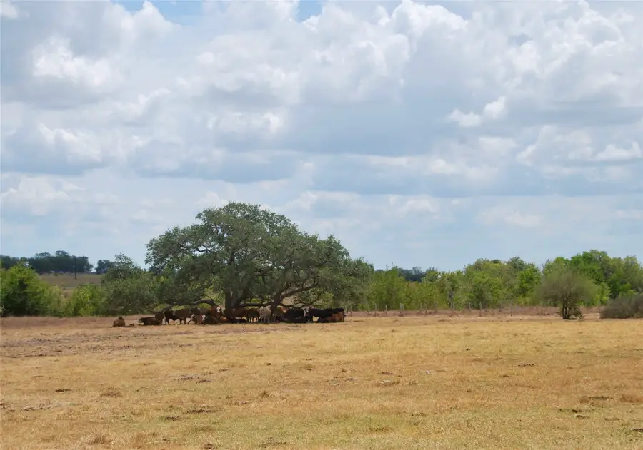 Tract 3 County Road 366, Shiner, TX 77984 - #3