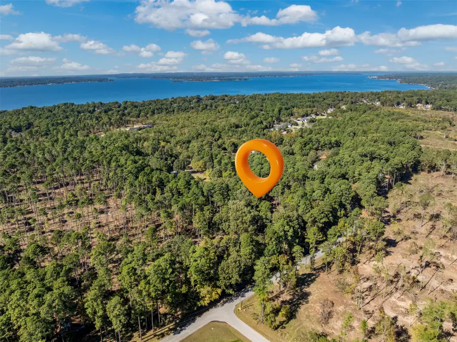 Lot 4 Pintail Drive, Flint, TX 75762 - Image #3