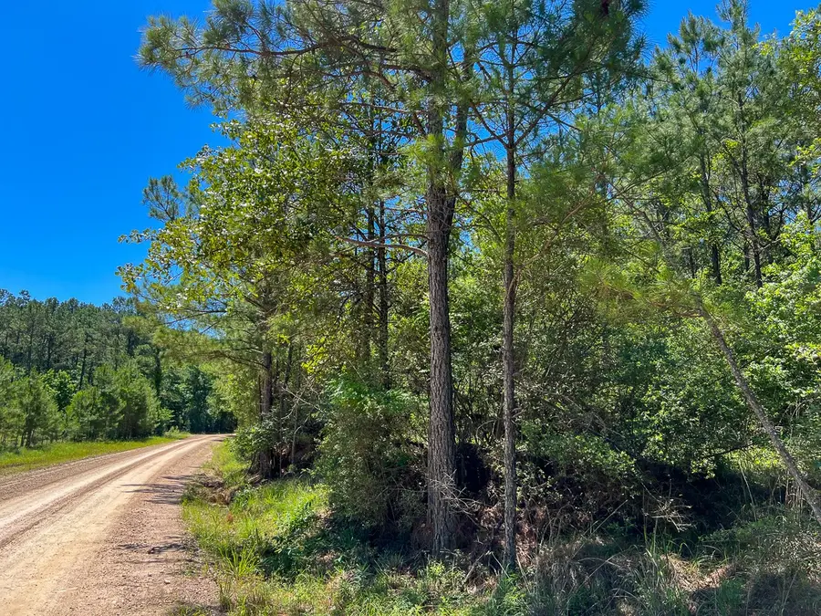 11 Howell Road, Corrigan, TX 75939 - #2