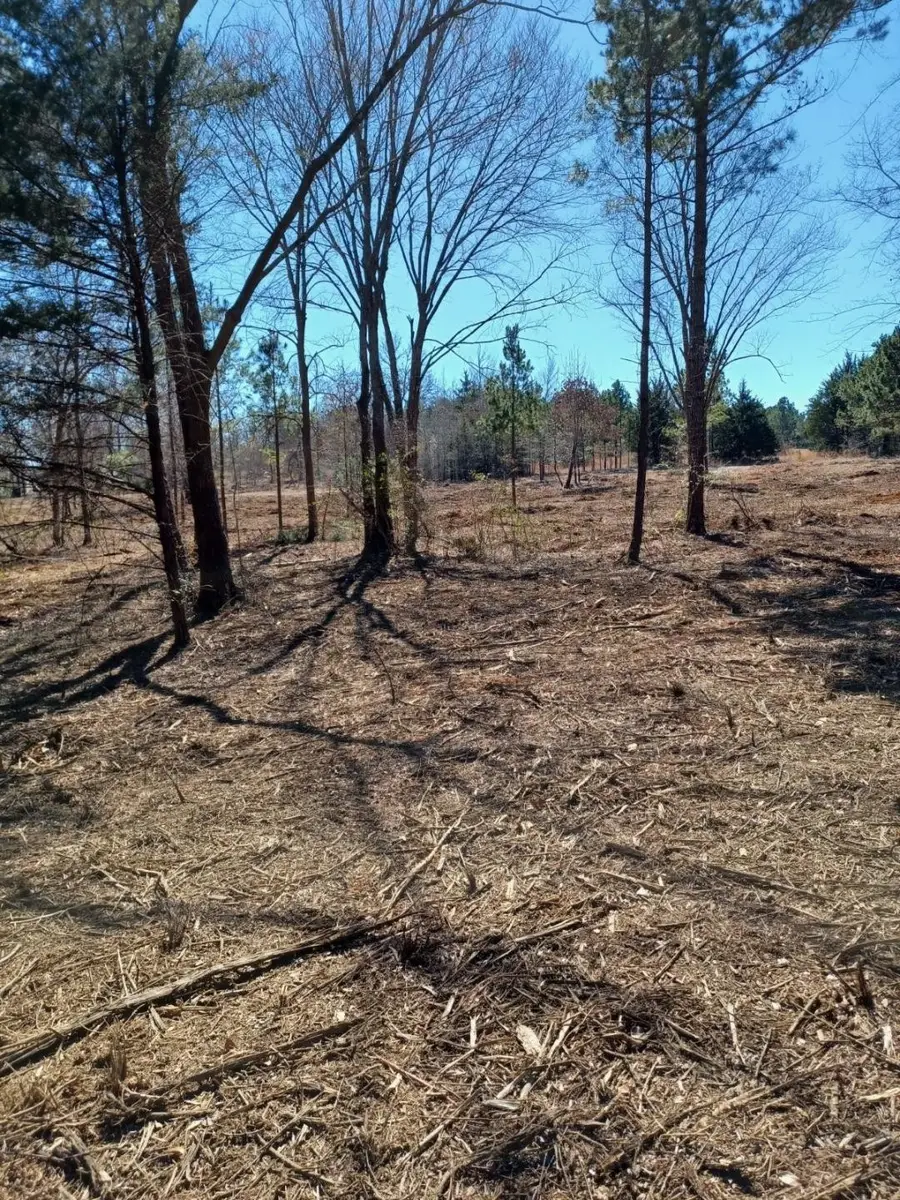 3173 County Road 415, Tyler, TX 75704 - Image #2