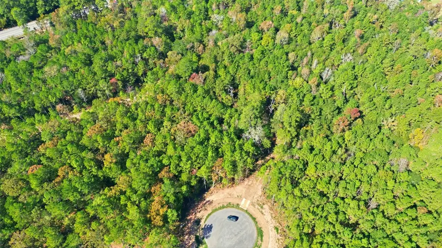 25219 Chisos Bend, Montgomery, TX 77316 - Image #3