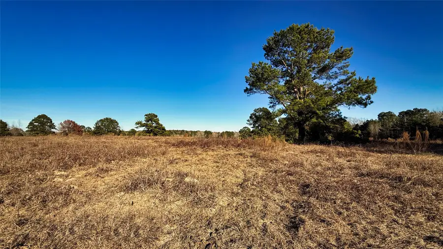 TBD #11 County Road 477, Henderson, TX 75654 - #2