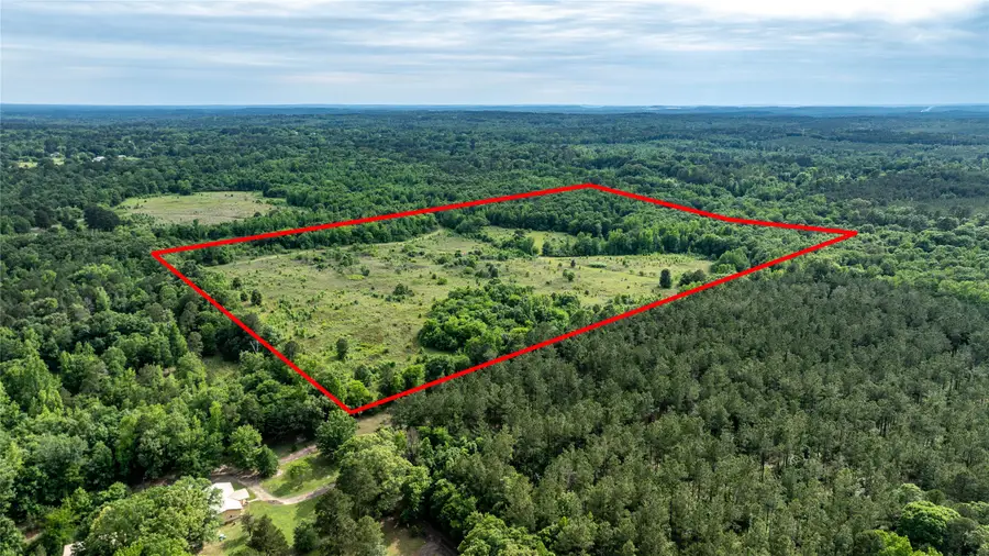 Lot 2 Count Road 1584, Avinger, TX 75630 - #2