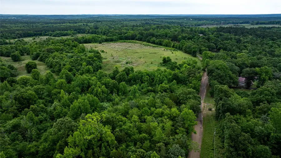 Lot 2 Count Road 1584, Avinger, TX 75630 - #3